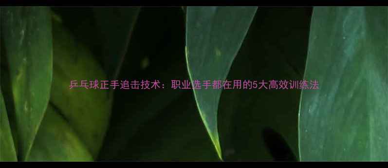 图片 乒乓球正手追击技术：职业选手都在用的5大高效训练法