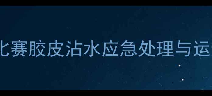 图片 乒乓球比赛胶皮沾水应急处理与运动科学1