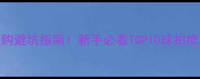 图片 乒乓球球拍选购避坑指南！新手必看TOP10球拍推荐+进阶技巧2