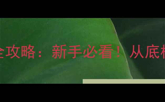 图片 乒乓球球拍配置全攻略：新手必看！从底板到胶皮如何搭配