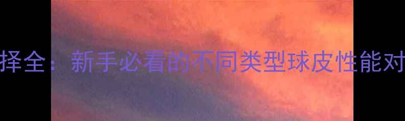 图片 乒乓球球皮选择全：新手必看的不同类型球皮性能对比与选购指南