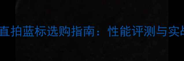 图片 乒乓球直拍蓝标选购指南：性能评测与实战推荐2