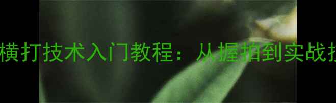 图片 乒乓球直板横打技术入门教程：从握拍到实战技巧的全面2