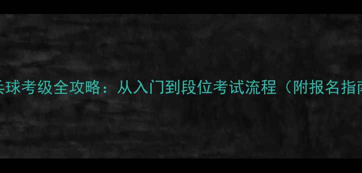 图片 乒乓球考级全攻略：从入门到段位考试流程（附报名指南）