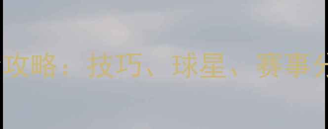 图片 乒乓球职业赛事全攻略：技巧、球星、赛事分析｜附观赛指南2