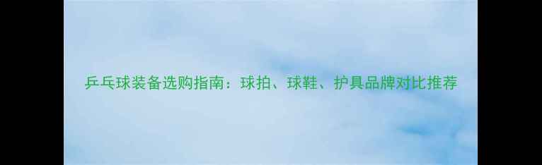 图片 乒乓球装备选购指南：球拍、球鞋、护具品牌对比推荐