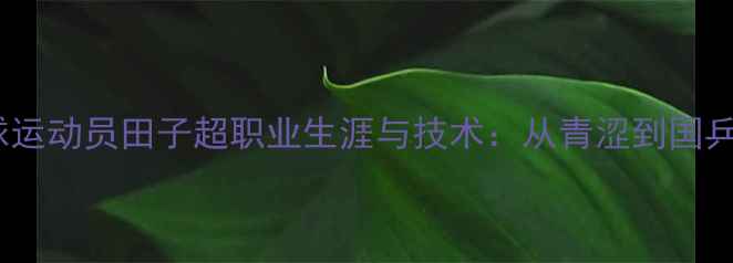 图片 乒乓球运动员田子超职业生涯与技术：从青涩到国乒主力2