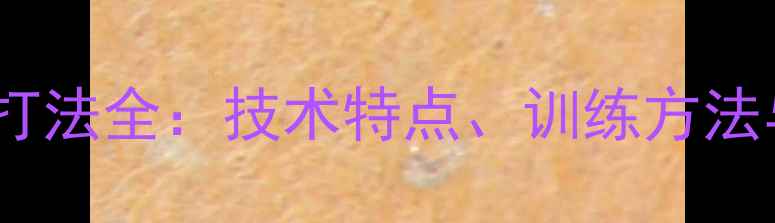 图片 乒乓球长胶打法全：技术特点、训练方法与实战应用1