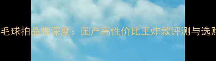 图片 亚5羽毛球拍品牌深度：国产高性价比王炸款评测与选购指南