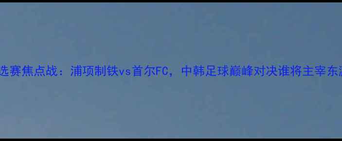 图片 亚洲杯预选赛焦点战：浦项制铁vs首尔FC，中韩足球巅峰对决谁将主宰东瀛绿茵？2