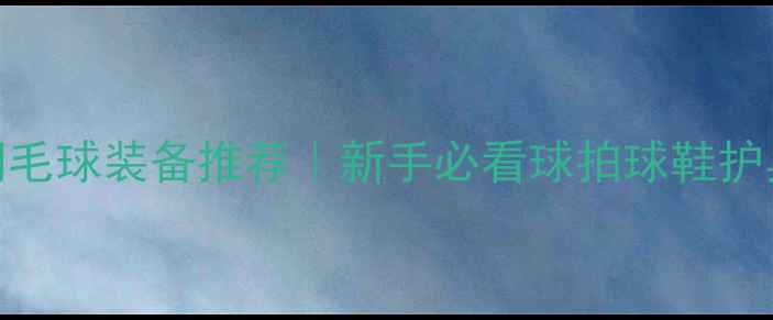 图片 亚狮龙羽毛球装备推荐｜新手必看球拍球鞋护具全攻略