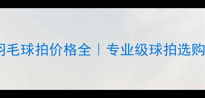 图片 亚龙羽毛球拍价格全｜专业级球拍选购指南1