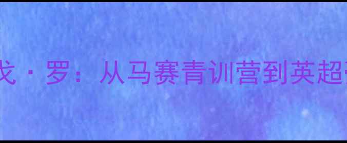 图片 亨利青训得意弟子罗德里戈·罗：从马赛青训营到英超豪门锋线新星成长全记录1