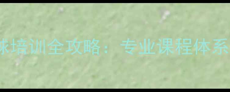 图片 什刹海体校乒乓球培训全攻略：专业课程体系与学员成长路径2