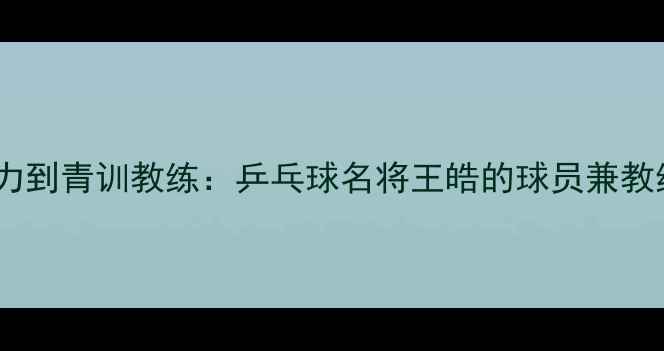 图片 从国家队主力到青训教练：乒乓球名将王皓的球员兼教练双料人生2