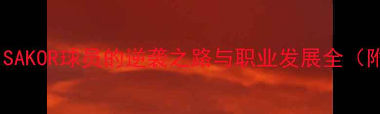 图片 从青训到国家队：SAKOR球员的逆袭之路与职业发展全（附赛季数据报告）2
