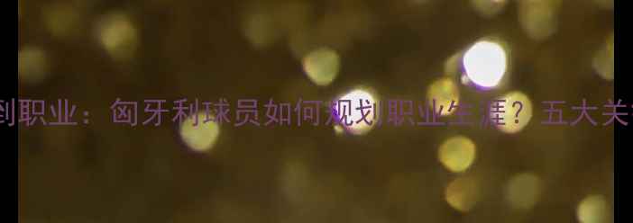 图片 从青训到职业：匈牙利球员如何规划职业生涯？五大关键步骤1