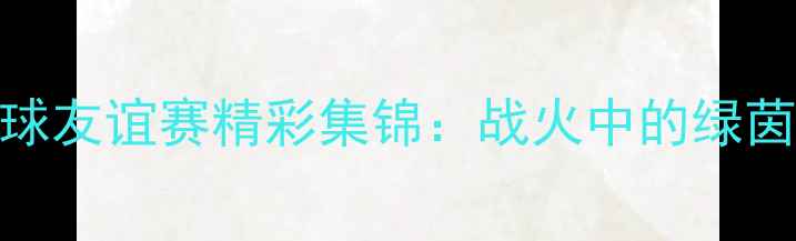 图片 伊拉克VS也门足球友谊赛精彩集锦：战火中的绿茵传奇与足球精神