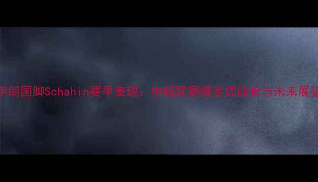 图片 伊朗国脚Schahin赛季表现：中超联赛爆发式成长与未来展望