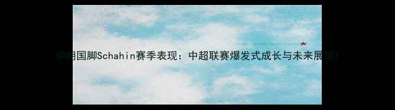 图片 伊朗国脚Schahin赛季表现：中超联赛爆发式成长与未来展望1