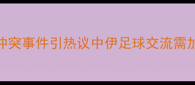 图片 伊朗球员与球迷冲突事件引热议中伊足球交流需加强体育精神引导