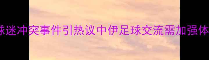 图片 伊朗球员与球迷冲突事件引热议中伊足球交流需加强体育精神引导2