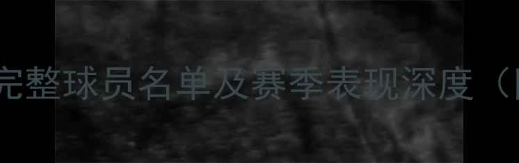 图片 休斯顿火箭队完整球员名单及赛季表现深度（附历史数据）2