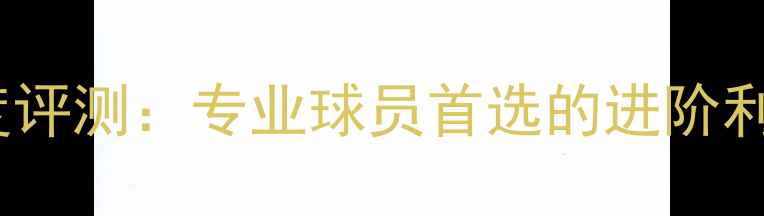 图片 优拉乒乓球胶皮深度评测：专业球员首选的进阶利器性能与选购指南1