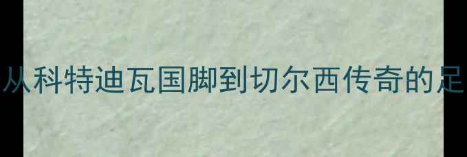 图片 传奇射手德罗巴：从科特迪瓦国脚到切尔西传奇的足球人生与经典战役