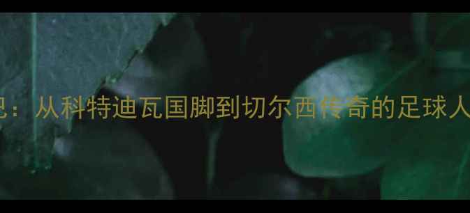 图片 传奇射手德罗巴：从科特迪瓦国脚到切尔西传奇的足球人生与经典战役1