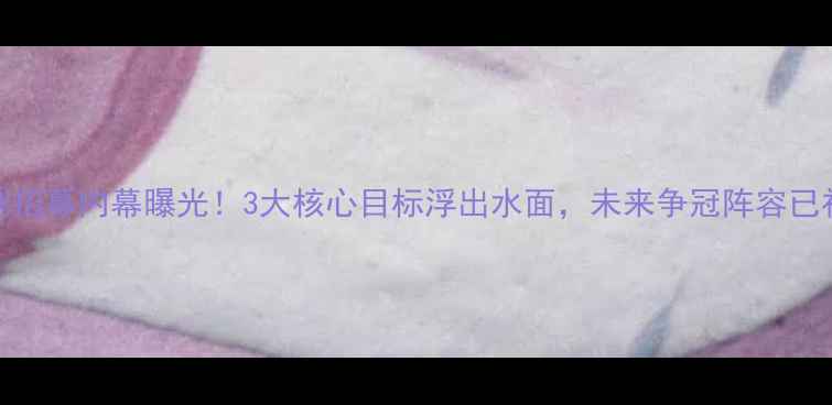 图片 伦纳德马刺招募内幕曝光！3大核心目标浮出水面，未来争冠阵容已初现雏形？