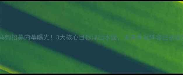 图片 伦纳德马刺招募内幕曝光！3大核心目标浮出水面，未来争冠阵容已初现雏形？1