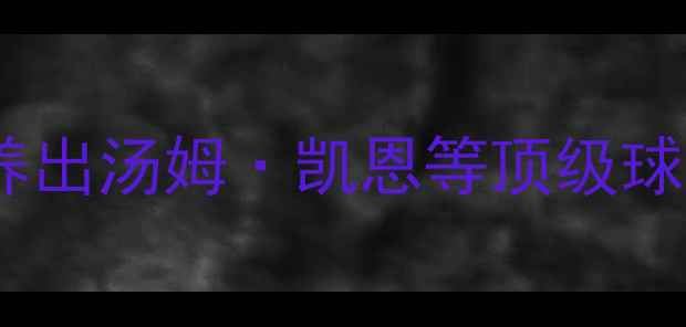 图片 伯恩利青训体系如何培养出汤姆·凯恩等顶级球星？英冠黑马崛起之路1