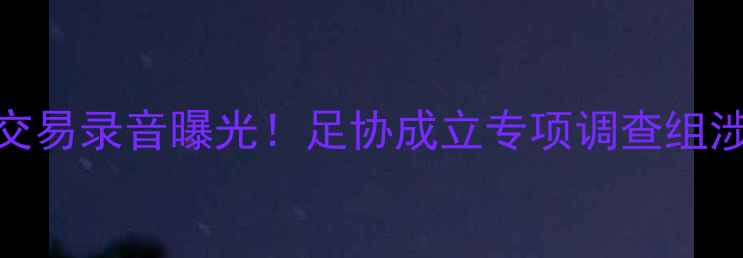 图片 体育界劲爆：韩国足坛性交易录音曝光！足协成立专项调查组涉案俱乐部或面临降级处罚