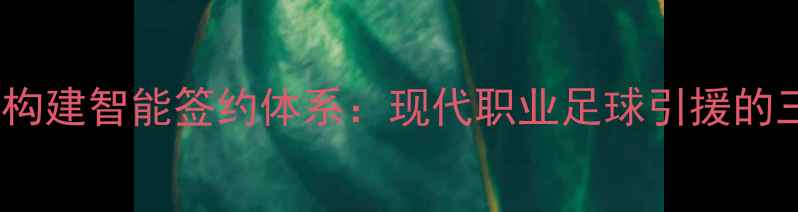 图片 体育资本如何构建智能签约体系：现代职业足球引援的三大核心策略1
