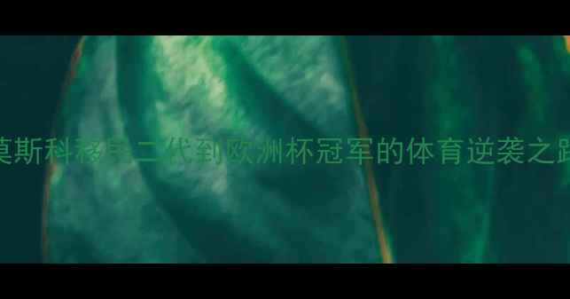图片 俄罗斯华裔球员成长记：从莫斯科移民二代到欧洲杯冠军的体育逆袭之路（附训练数据与成功要素）