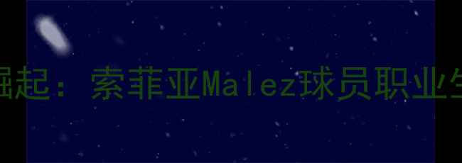 图片 保加利亚足球新星崛起：索菲亚Malez球员职业生涯及国家队表现全