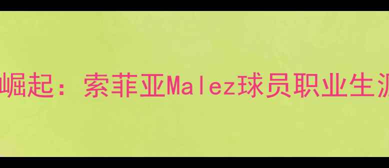 图片 保加利亚足球新星崛起：索菲亚Malez球员职业生涯及国家队表现全1