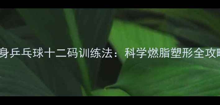 图片 健身乒乓球十二码训练法：科学燃脂塑形全攻略2