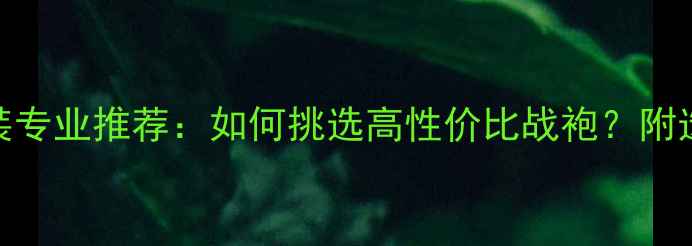 图片 健身比基尼比赛服装专业推荐：如何挑选高性价比战袍？附选购指南与品牌测评