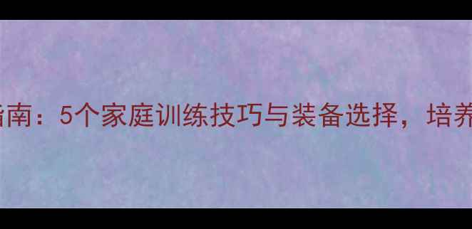 图片 儿童羽毛球入门指南：5个家庭训练技巧与装备选择，培养孩子的运动天赋2