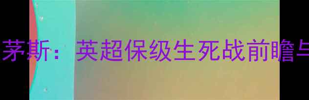 图片 克拉利vs朴次茅斯：英超保级生死战前瞻与战术博弈全1