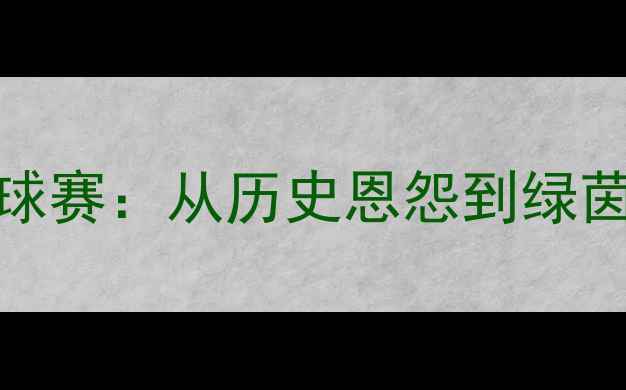 图片 克罗地亚vs科索沃足球赛：从历史恩怨到绿茵场上的国家尊严之战