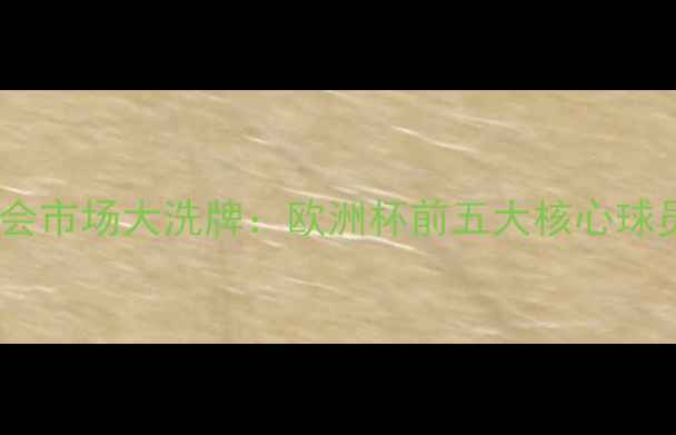 图片 克罗地亚国家队转会市场大洗牌：欧洲杯前五大核心球员去向及影响深度2