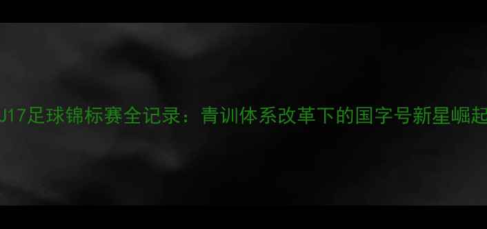 图片 全国U17足球锦标赛全记录：青训体系改革下的国字号新星崛起之路