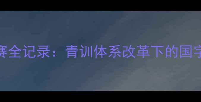 图片 全国U17足球锦标赛全记录：青训体系改革下的国字号新星崛起之路1