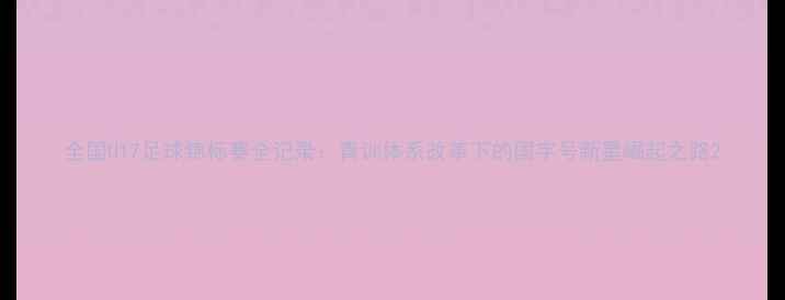 图片 全国U17足球锦标赛全记录：青训体系改革下的国字号新星崛起之路2