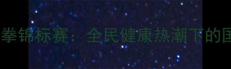 图片 全国太极拳锦标赛：全民健康热潮下的国粹盛宴2