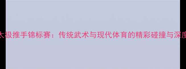 图片 全国太极推手锦标赛：传统武术与现代体育的精彩碰撞与深度解读