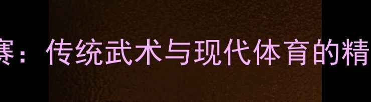 图片 全国太极推手锦标赛：传统武术与现代体育的精彩碰撞与深度解读1